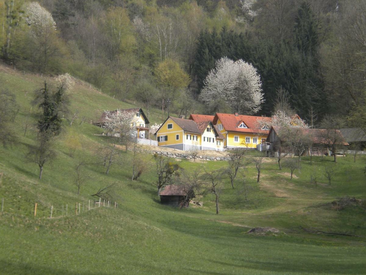 Buchschneider - Ferienhaus Maier - Landhof Schwarzautal Exterior photo