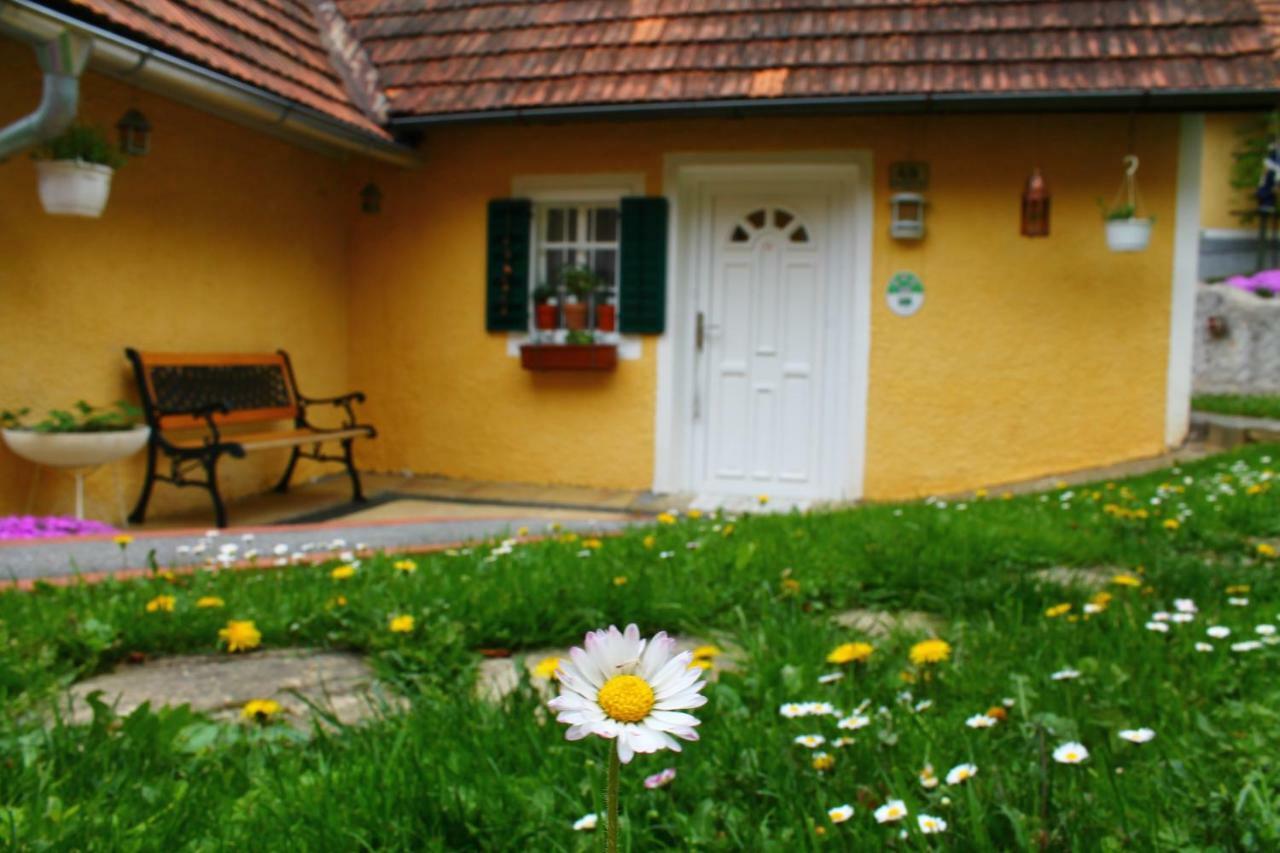 Buchschneider - Ferienhaus Maier - Landhof Schwarzautal Exterior photo